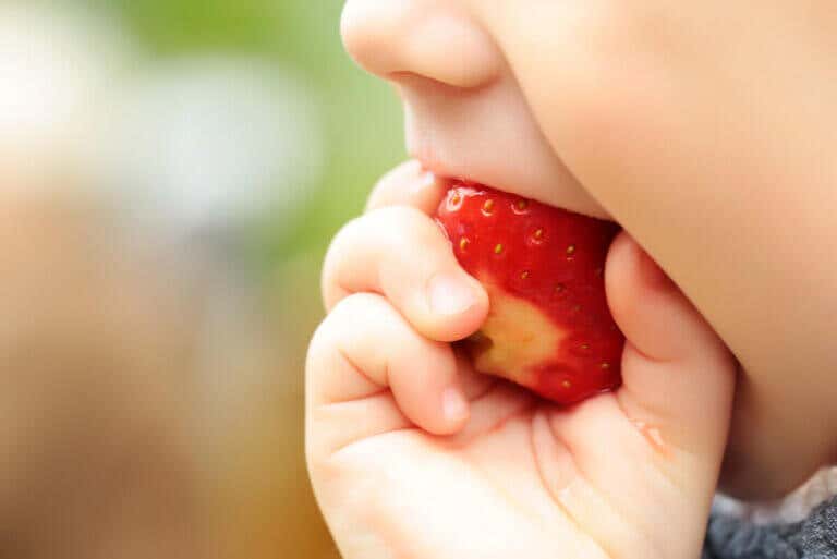 ¿Cuándo introducir la fresa a la dieta de mi bebé?
