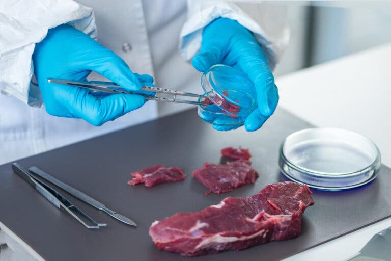 3 bacterias que contaminan la carne