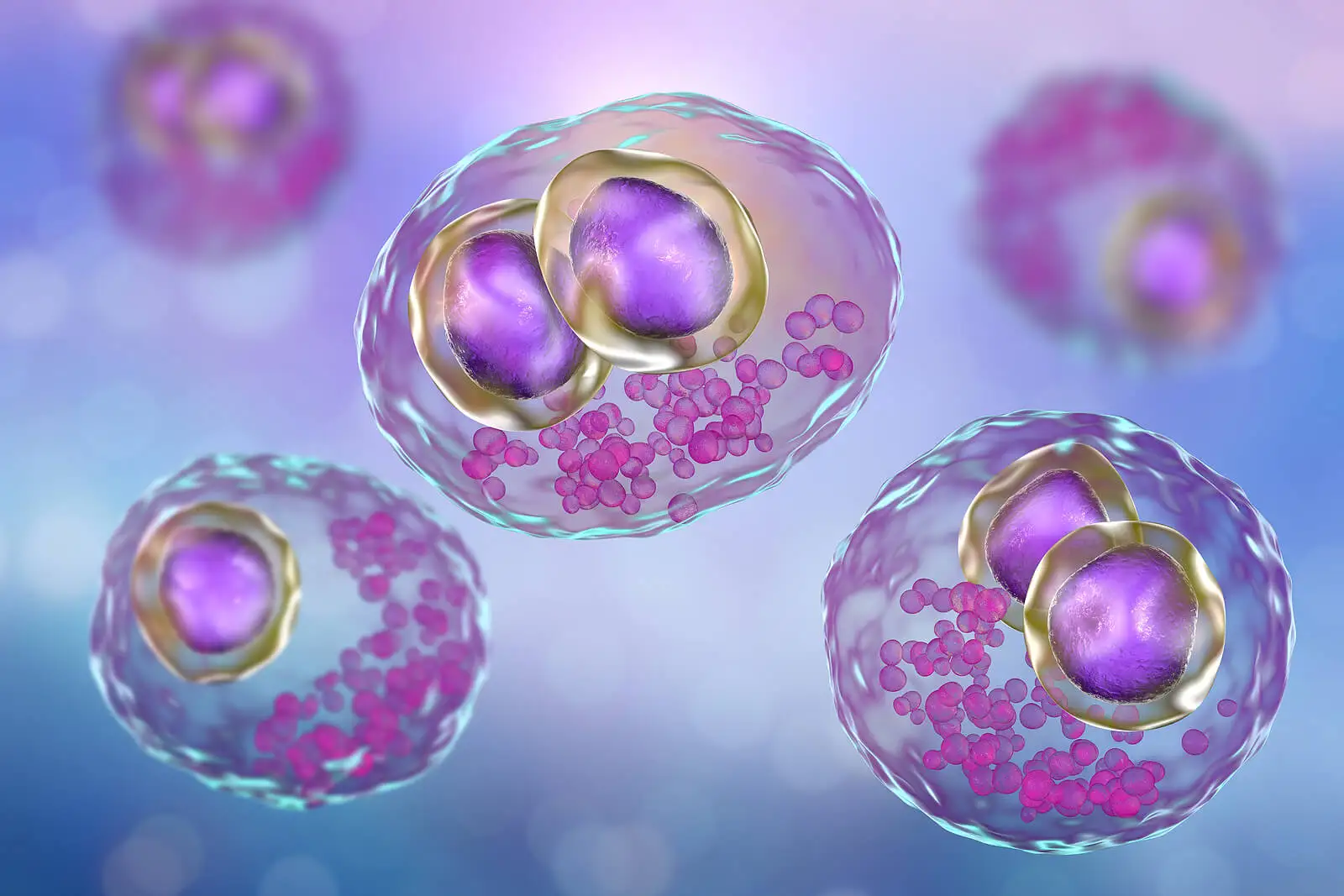 Citomegalovirus en el embarazo: todo lo que debes saber