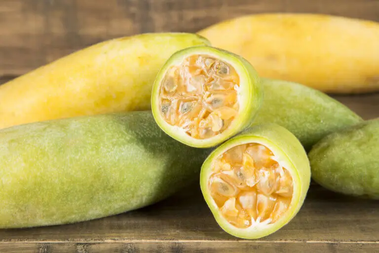 Curuba o tumbo: propiedades y contraindicaciones