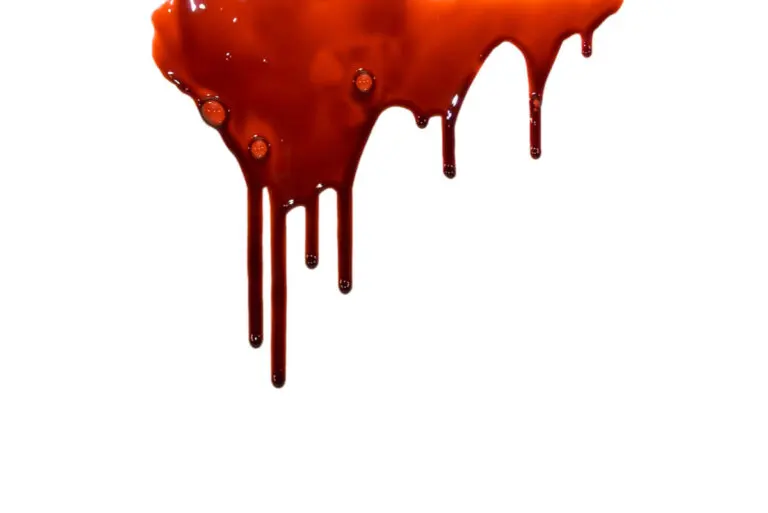 Manchas de sangre en alfombras y muebles: ¿cómo limpiarlas?