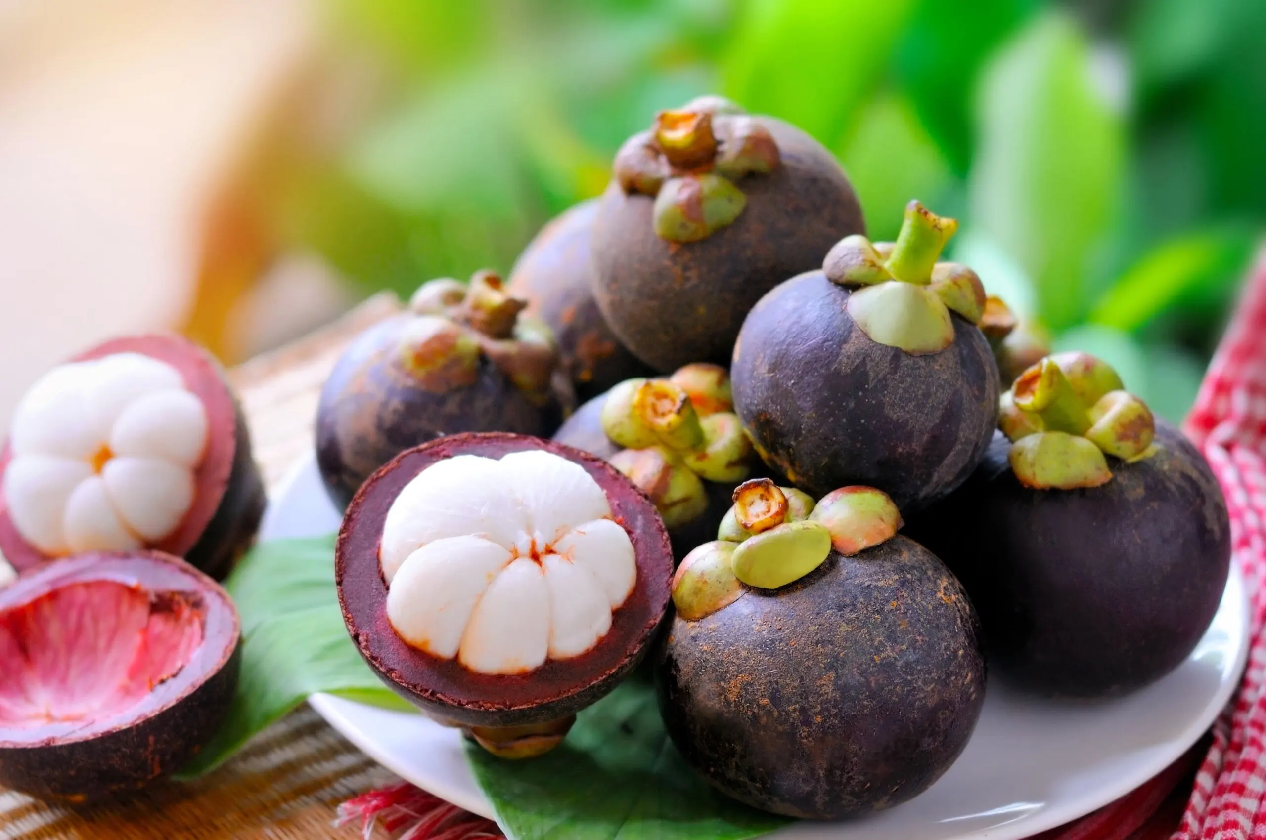 Mangostan