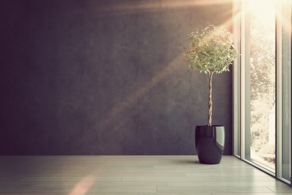 Pour organiser une pièce rectangulaire il faut tenir compte des murs