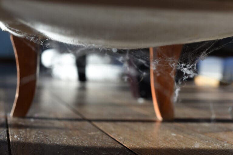 3 trucos para eliminar las telarañas