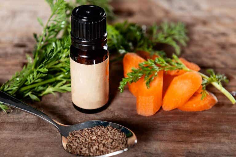Aceite de semilla de zanahoria: beneficios y usos