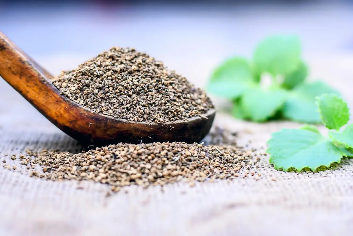 Semillas de ajwain en una cuchara.