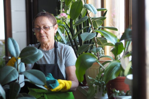 7 beneficios terapéuticos de la horticultura en adultos mayores