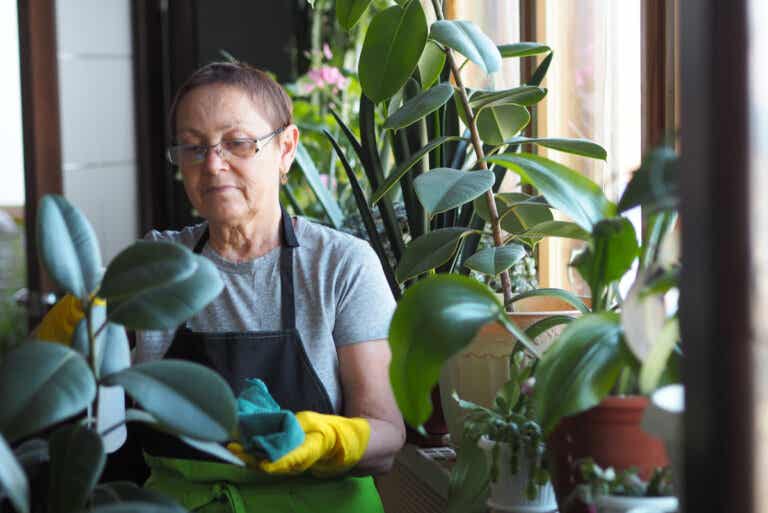 7 beneficios terapéuticos de la horticultura en adultos mayores