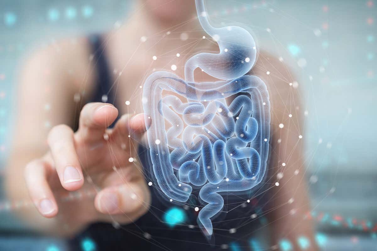 Bacterias benéficas: ¿cuáles son y qué beneficios tienen en nuestro cuerpo?