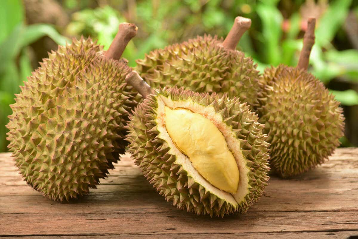 Durian, le fruit le plus piquant au monde.