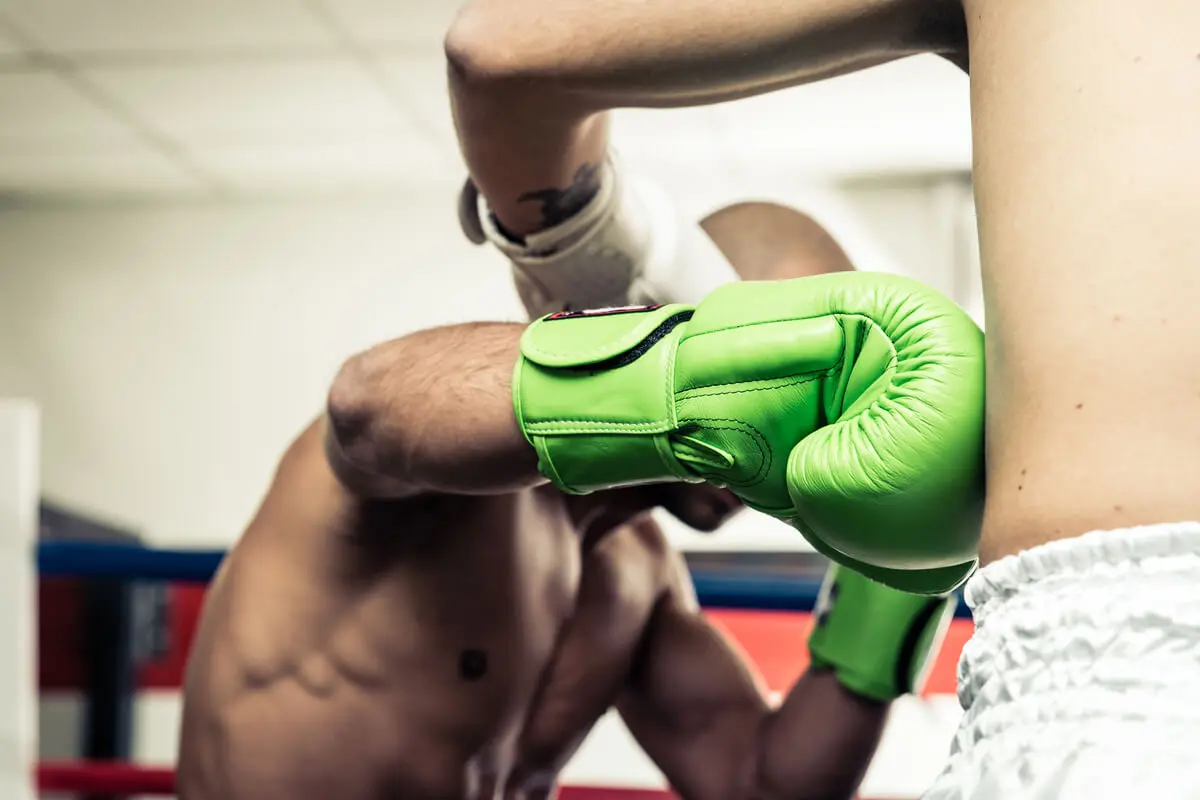 Boxeadores.