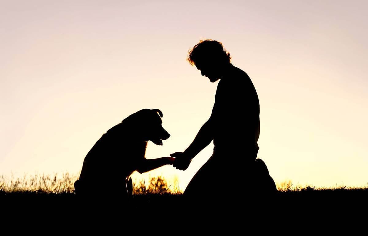 L'homme dit au revoir à son animal de compagnie.