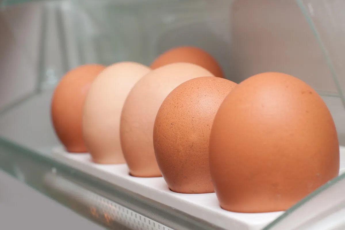 Huevos de calidad para hacer baba de camelo.