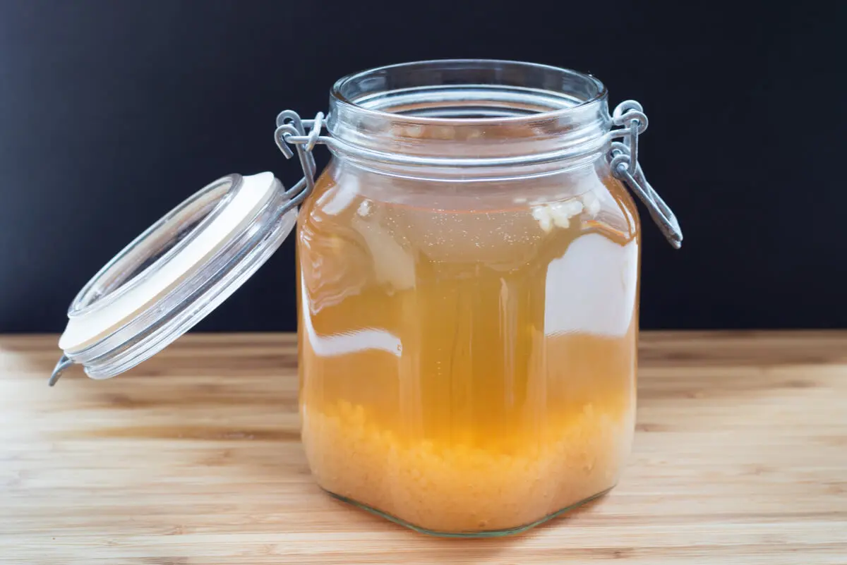 Kéfir de agua.