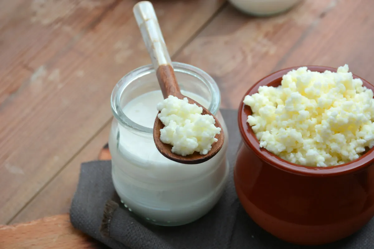 Kéfir de leche