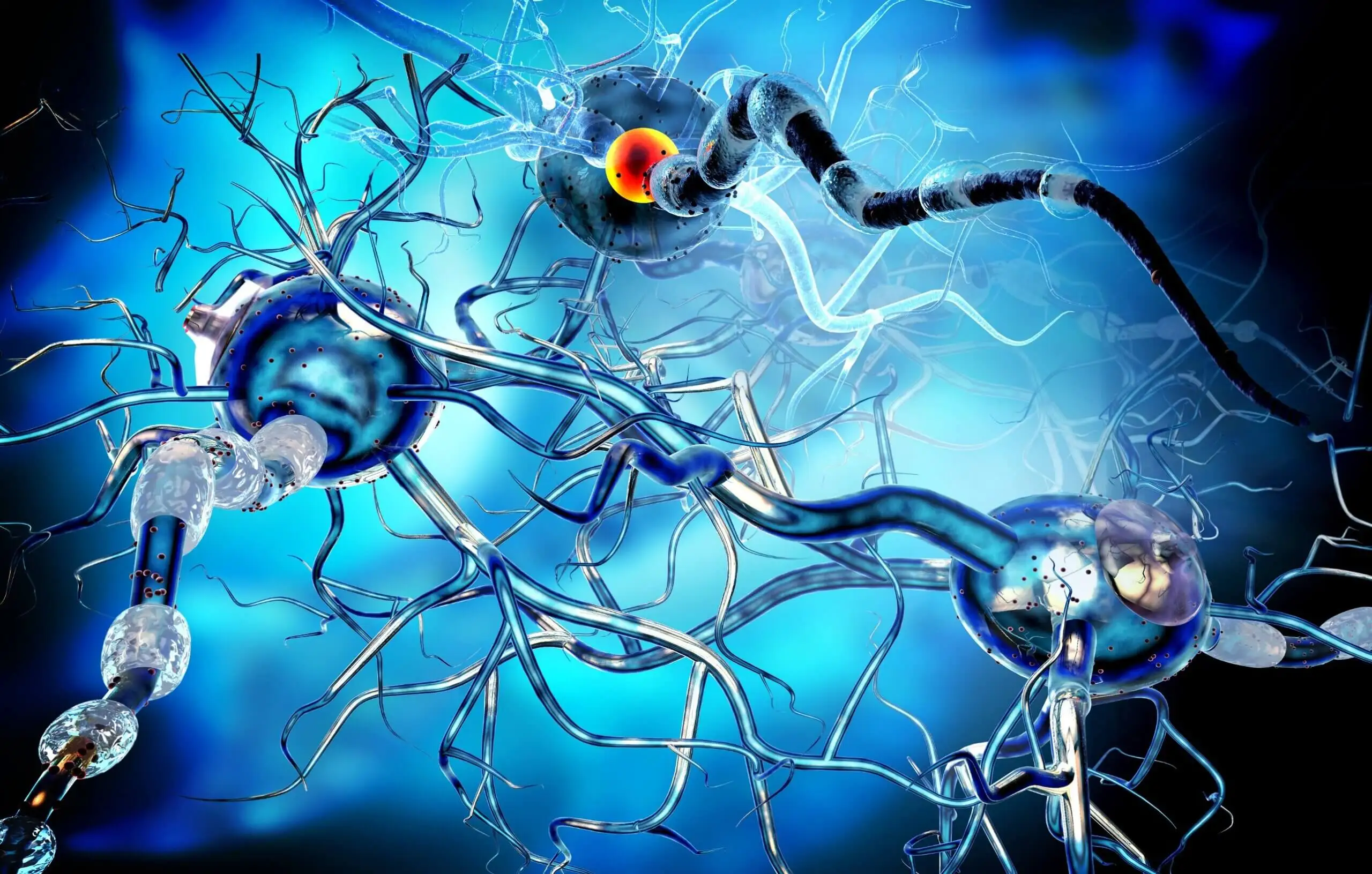 Welt-Schlaganfalltag - Neuronen im Gehirn