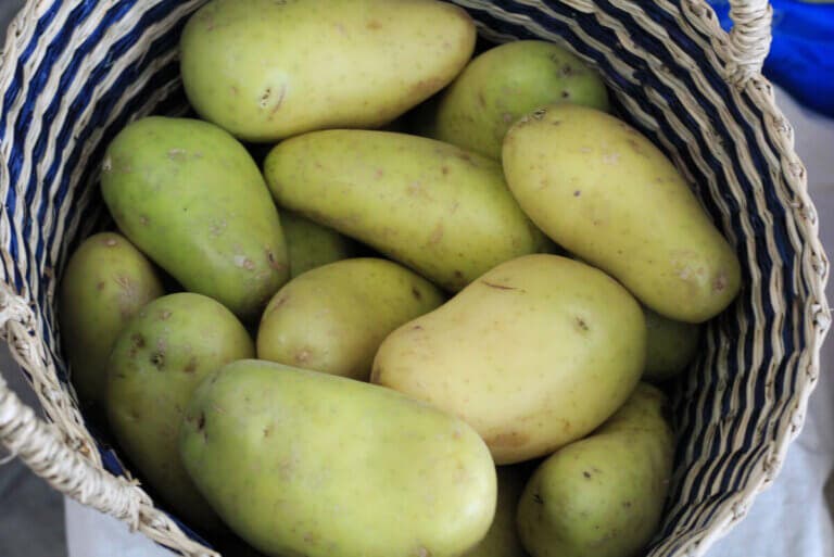 ¿La parte verde de las patatas es tóxica? Lo que debes saber
