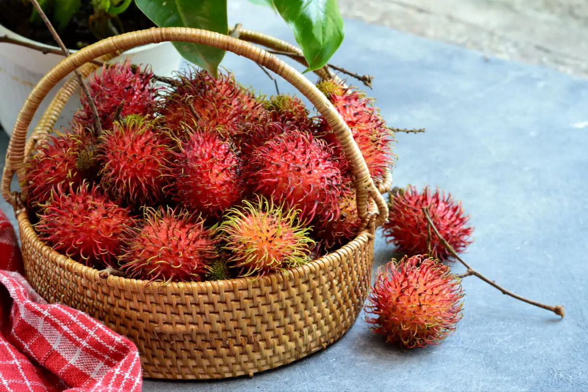 Rambután en una canasta.
