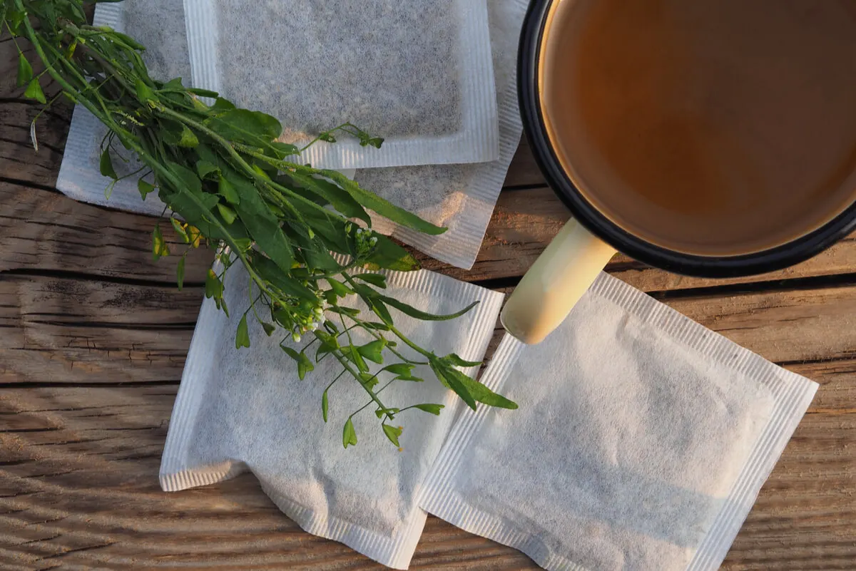 Té de bolsa de pastor.