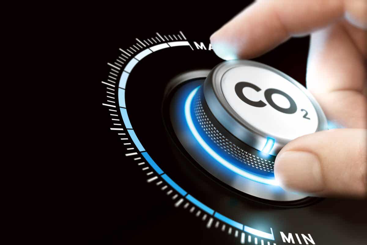 7 consejos para reducir tu huella de carbono en el mundo