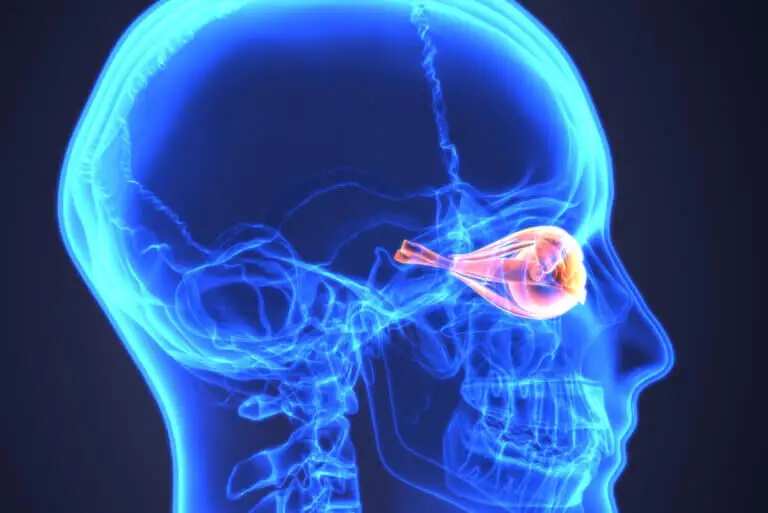 Neuromielitis óptica o enfermedad de Devic: ¿de qué se trata?
