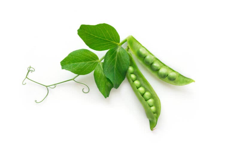 Información nutricional y beneficios del frijol verde