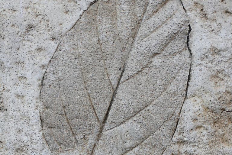 Aprende a hacer hojas de cemento para decorar tu jardín