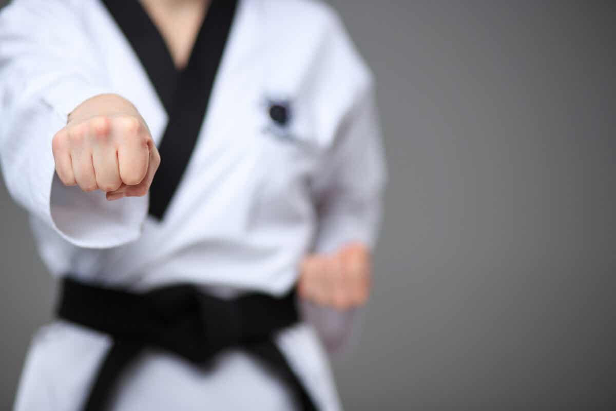 Karate y taekwondo no son lo mismo.