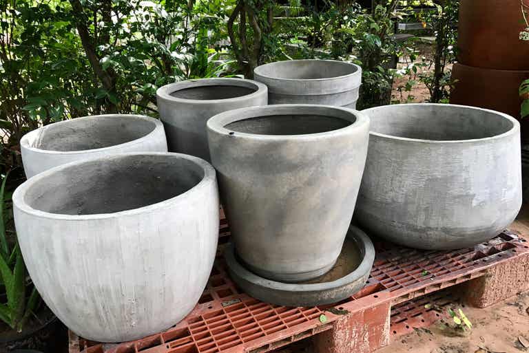 Pots without designs for African violet.