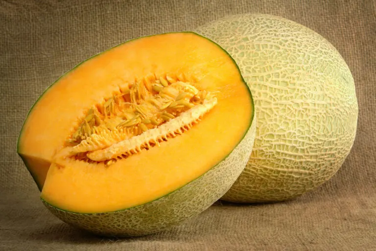 Cómo hacer mermelada de melón