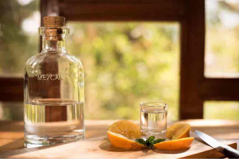 Tequila vs. mezcal: ¿en qué se diferencian?