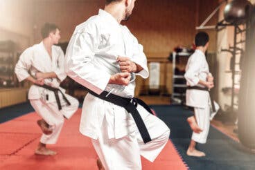 ¿Cuáles son las diferencias entre el karate y el taekwondo?