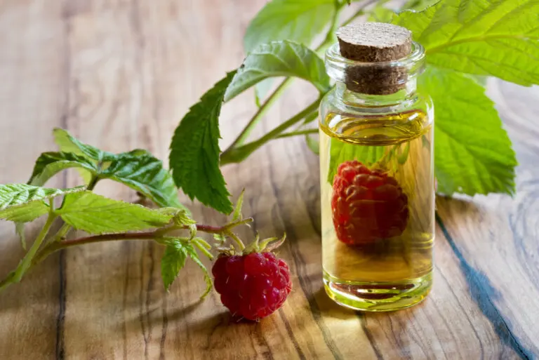 Aceite de semilla de frambuesa: beneficios, usos y contraindicaciones