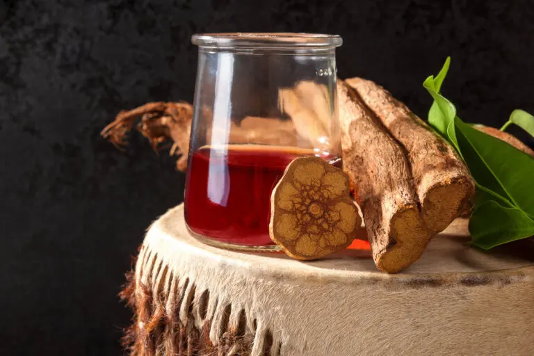 Ayahuasca: origen, usos y efectos