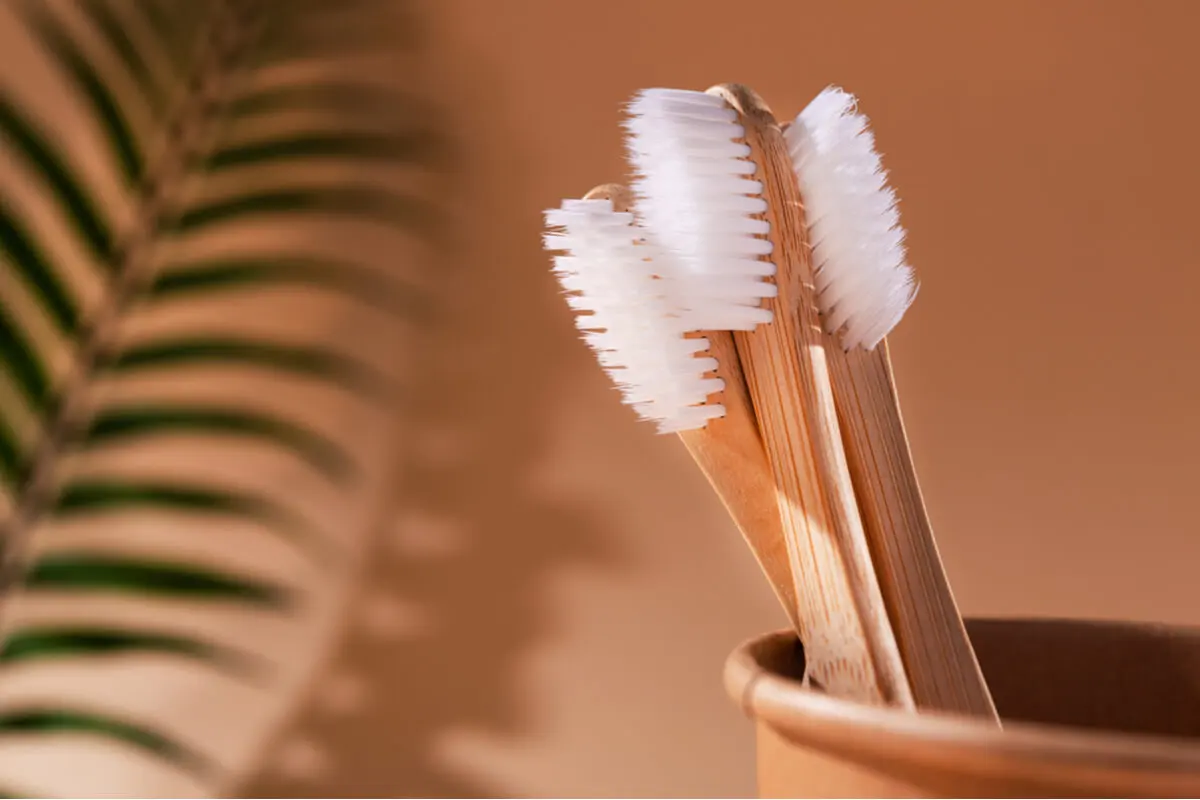 Cepillos de dientes parados.