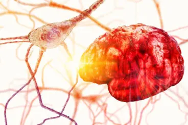 ¿Qué es la degeneración corticobasal y cómo se diagnostica?