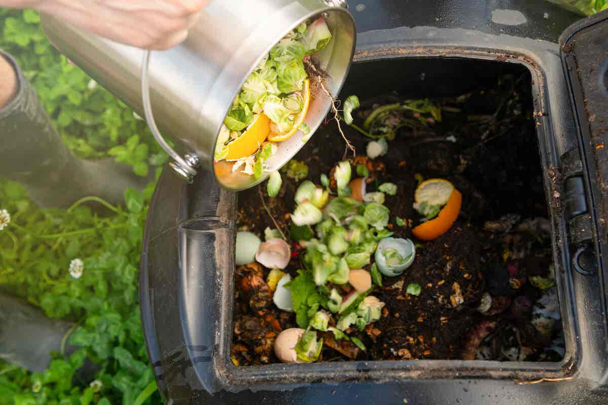 Aprovechar desechos orgánicos para hacer composta.