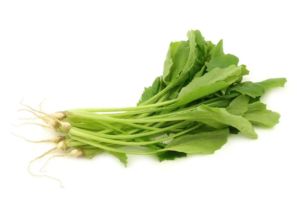 Lacón con grelos