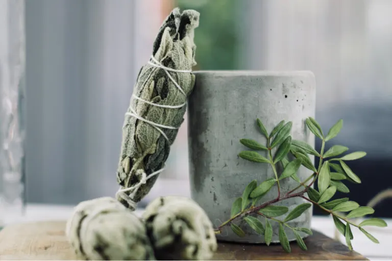 Aprende a purificar tu casa con la planta de salvia
