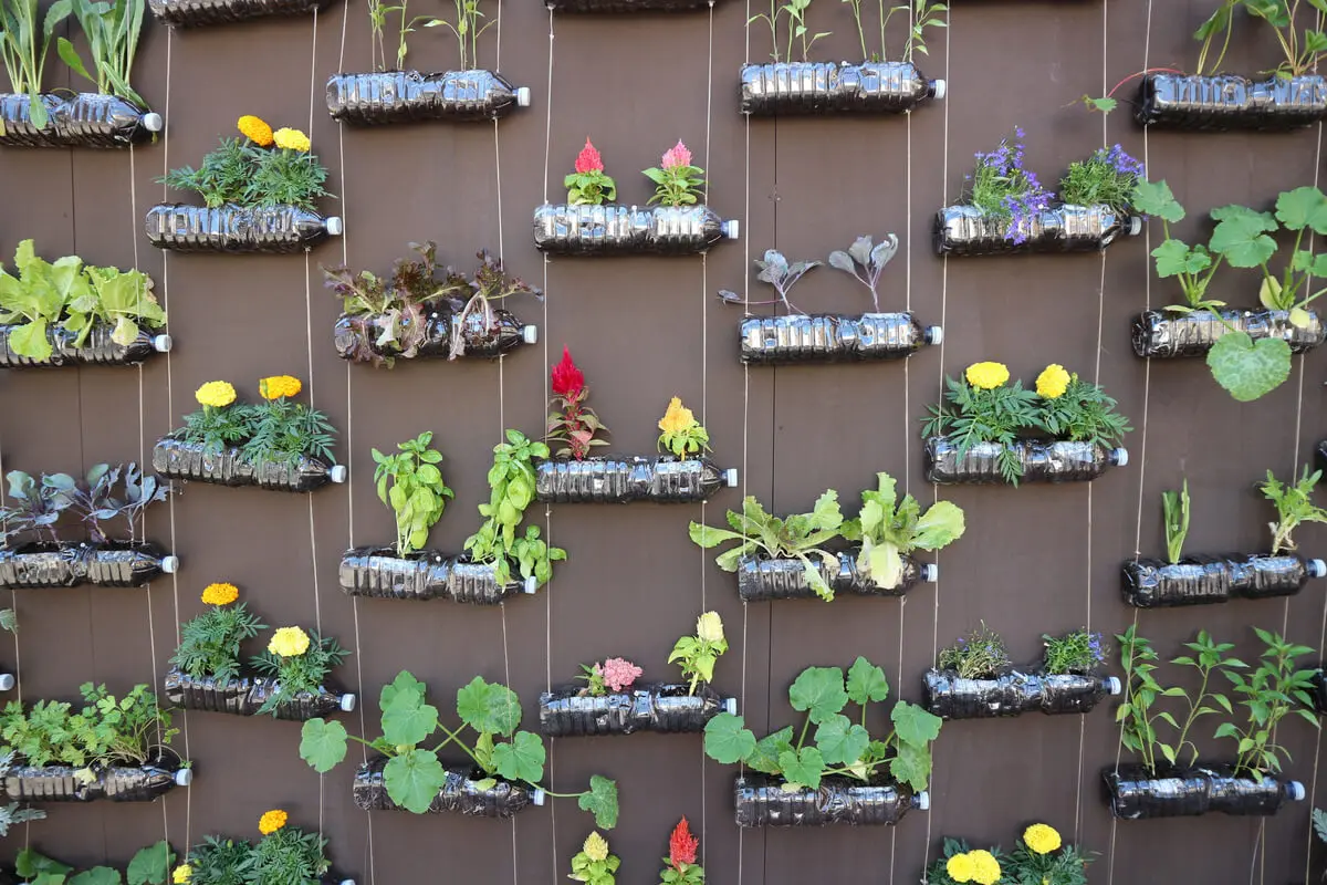 Jardín vertical para aprovechar botellas de plástico.