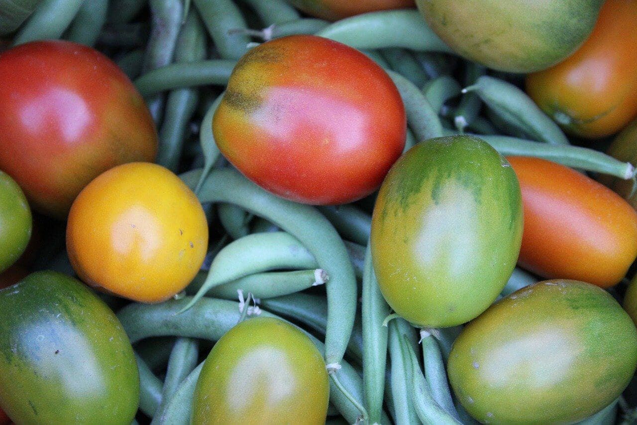 Judías verdes con tomates.