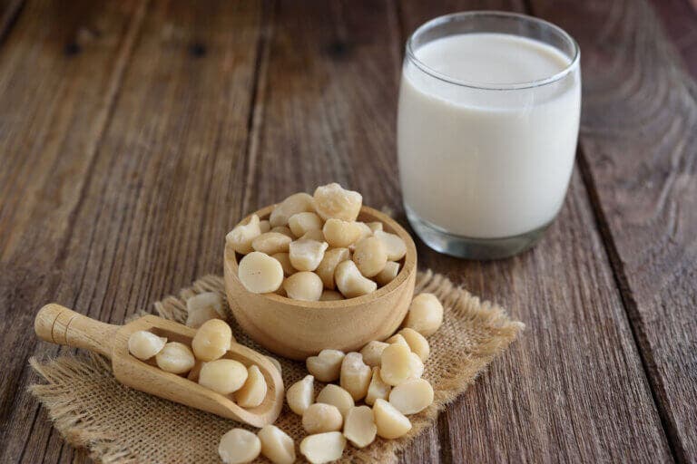 Leche de macadamia: cuáles son sus beneficios y cómo prepararla