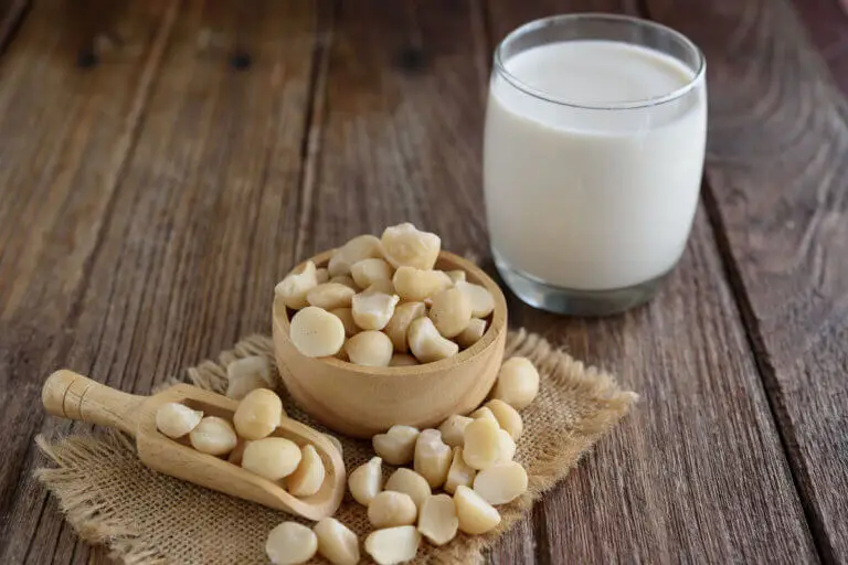 Leche de macadamia: cuáles son sus beneficios y cómo prepararla