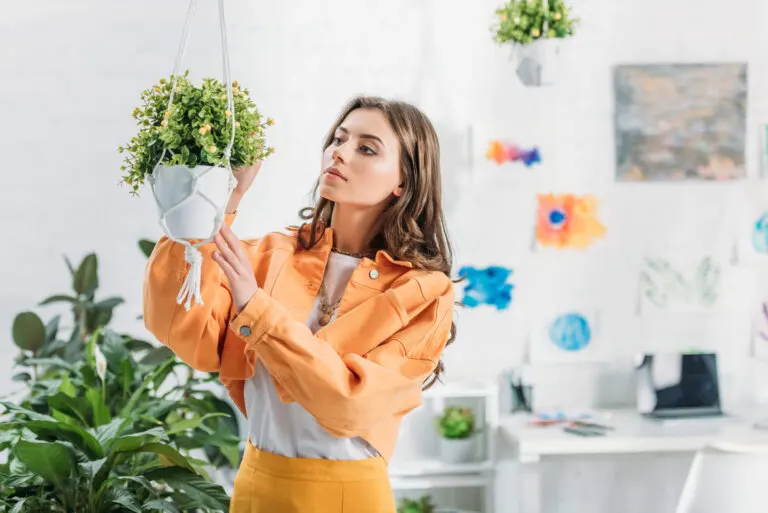 ¿Cómo hacer una maceta colgante casera para tus plantas?