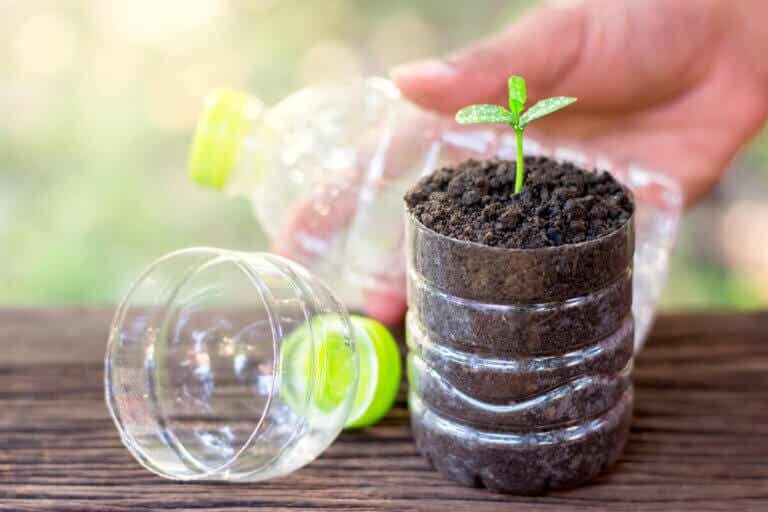 7 increíbles usos de botellas de plástico en jardinería