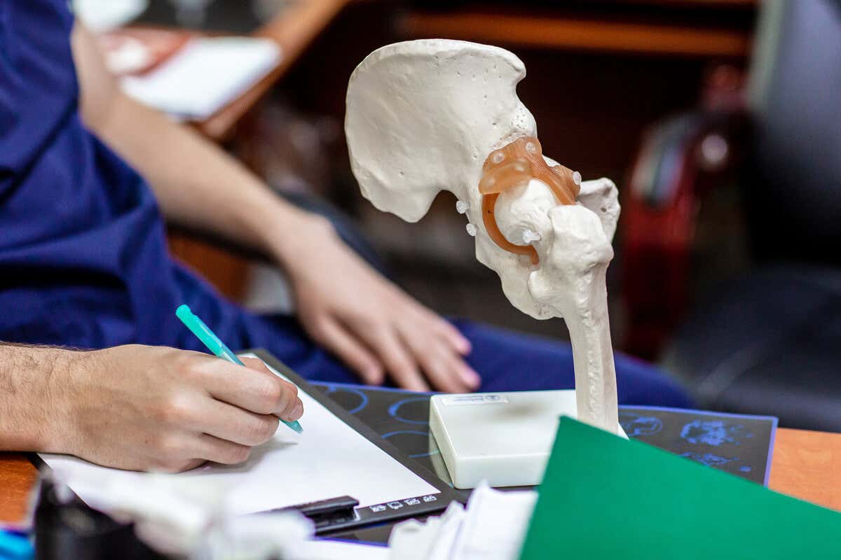 bir doktorun masasında kemik maketi