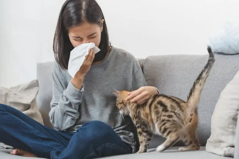 Alergia a los gatos y perros: ¿qué la causa?