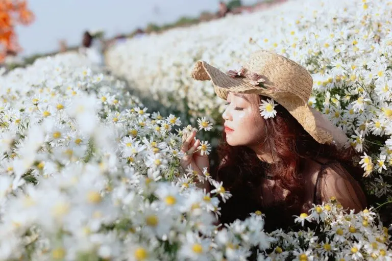 7 plantas con flores aromáticas para perfumar el jardín