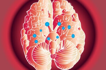 Funciones de los 12 pares craneales