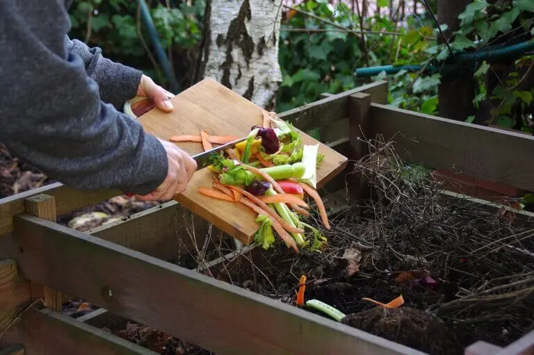 3 errores comunes al hacer un compost casero